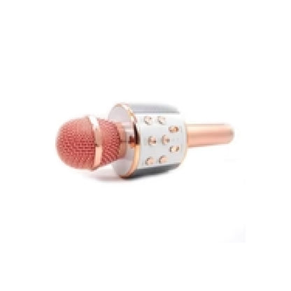 Bluetooth Wireless Microphone with Speaker